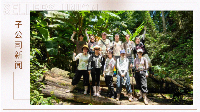 探雨林秘境，与森林同呼吸——记优景公司年中西双版纳团建旅游
